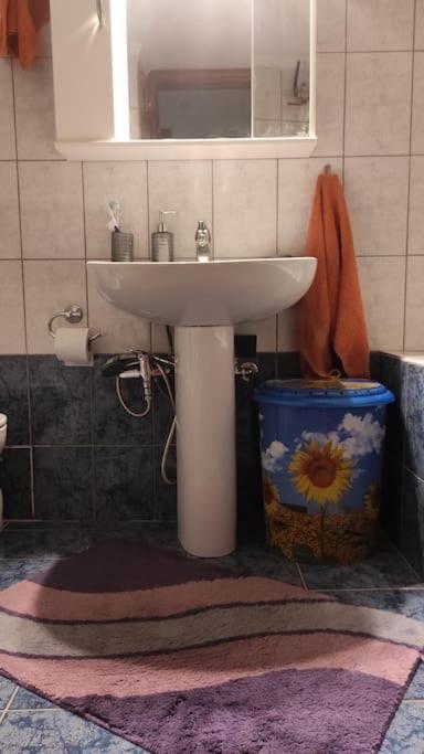 σοφίτα στο κέντρο της πόλης Apartmán Alexandrupoli